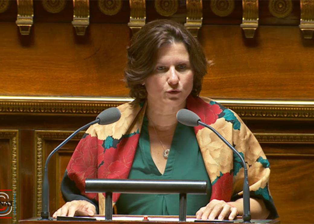 Roxana Maracineanu au Sénat le 24 juillet
