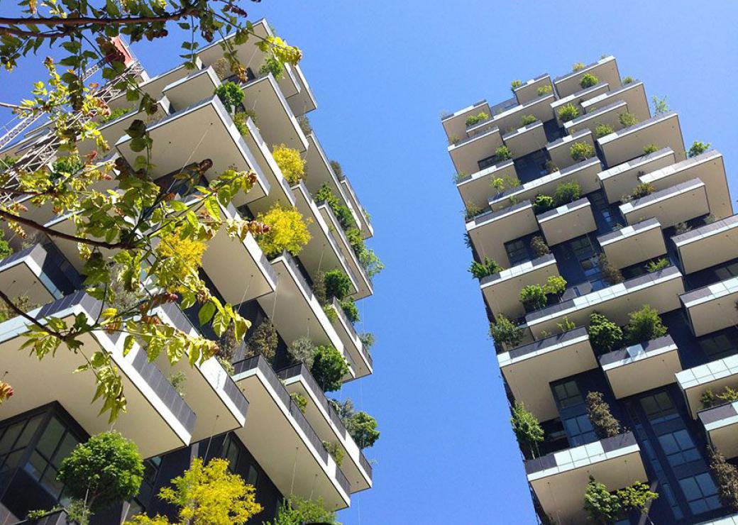 Immeubles végétalisé