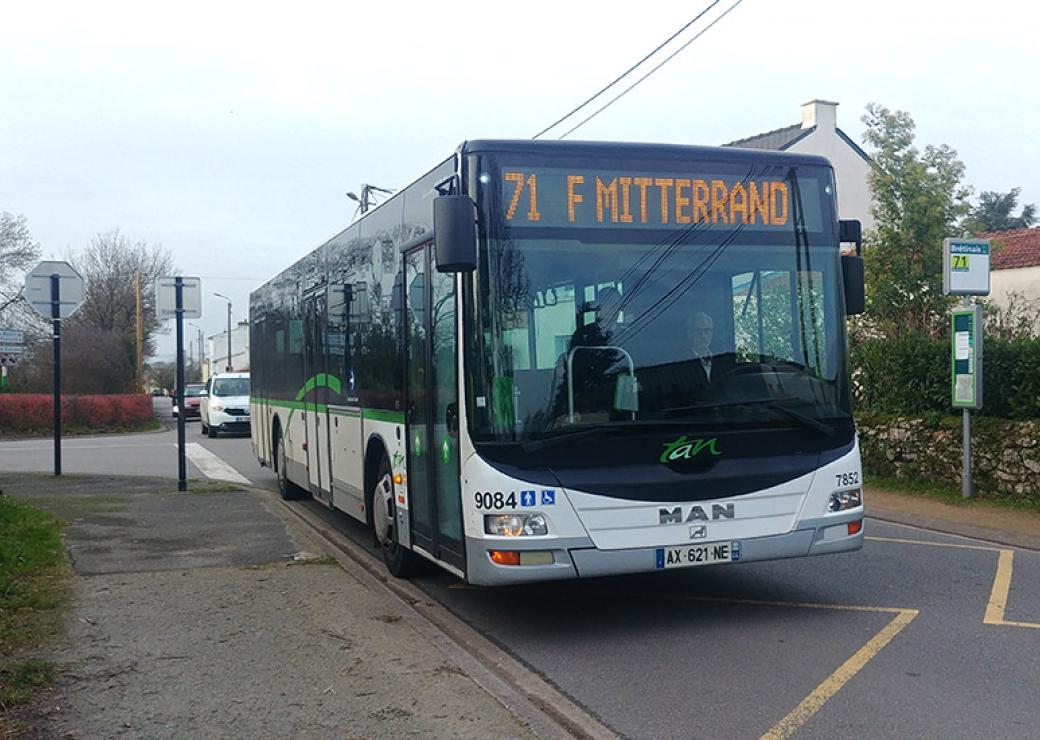 Bus 71