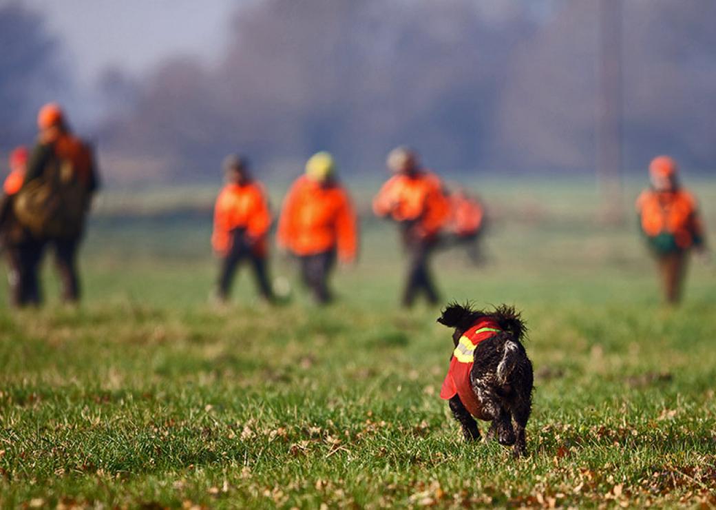 Chasseurs