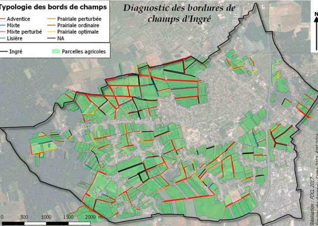 Ingré protège la perdrix grise au nom de la biodiversité