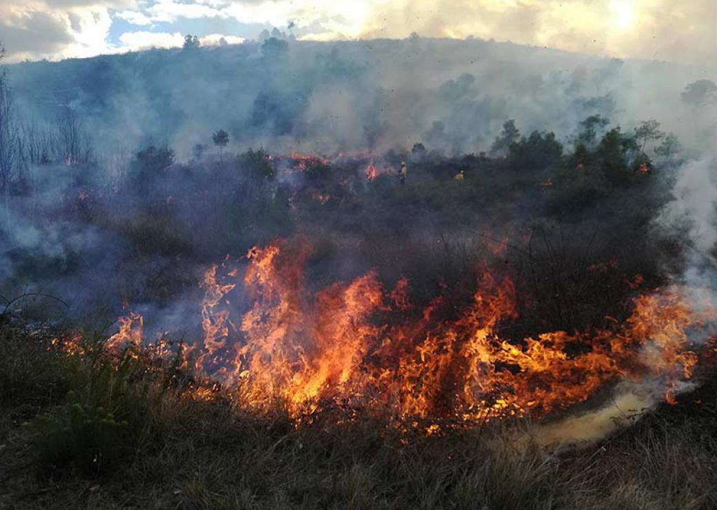 Prévention des incendies dans l’Hérault