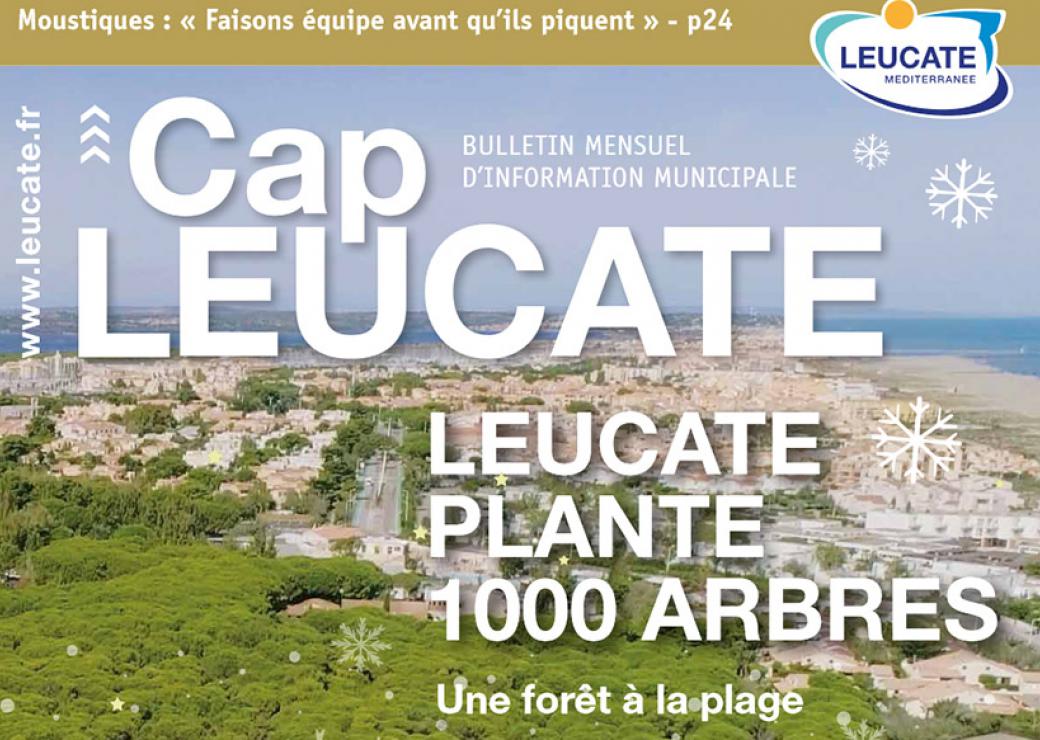 Leucate plante une forêt à la plage (11) 