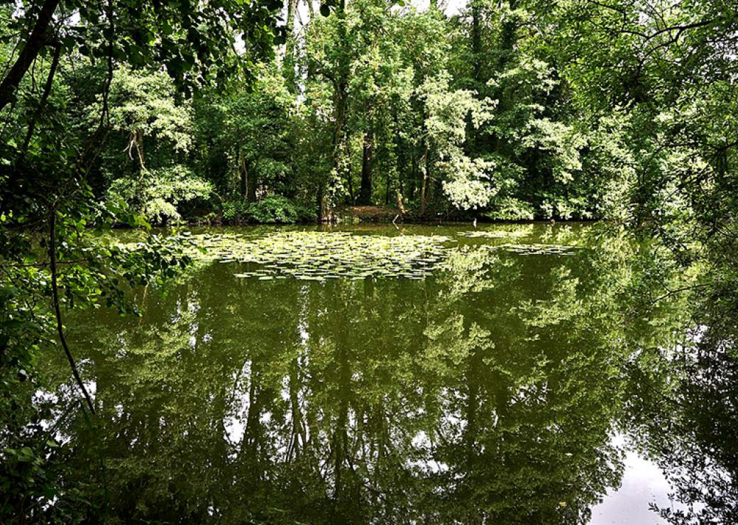 L'espace naturel départemental (EDEN62) de Feuchy