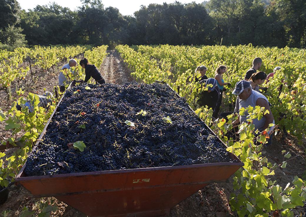 Dix ans de projet alimentaire territorial de TPM (83)