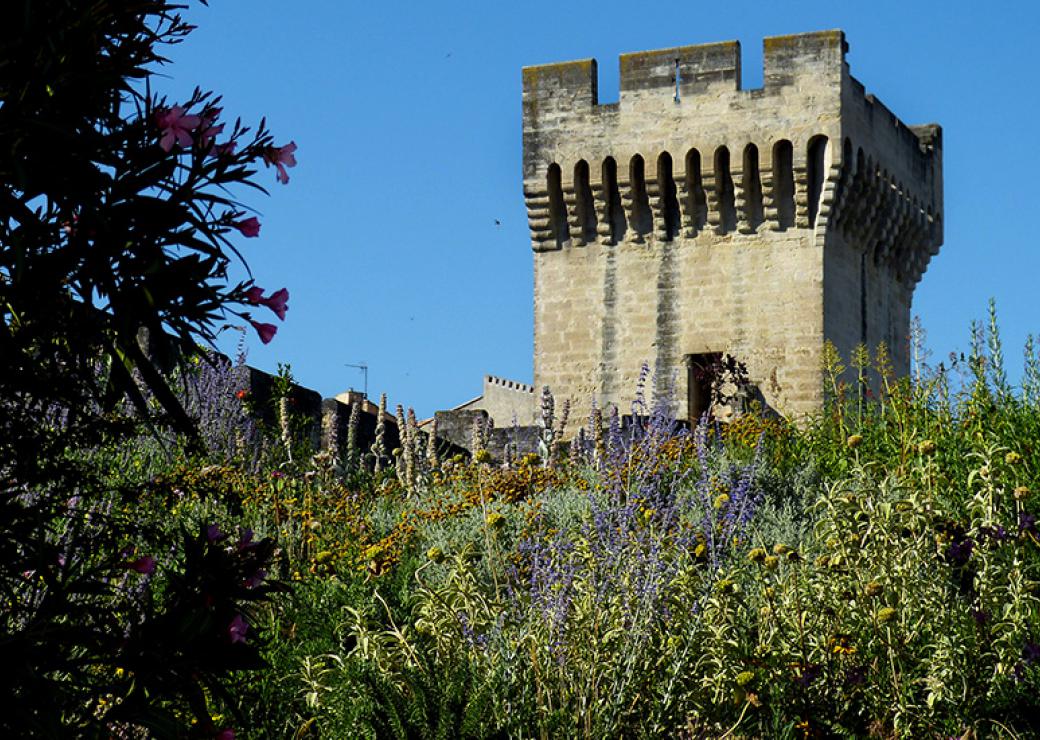 Biodiversité