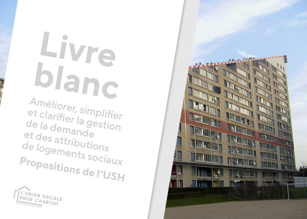 Livre blanc l'Ush