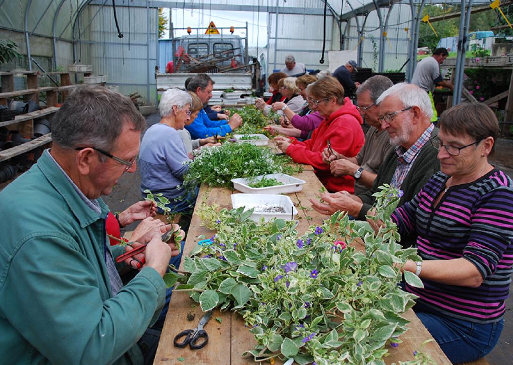 Installé autour d'une table, un groupe de personnes pratique des boutures sur des plantes