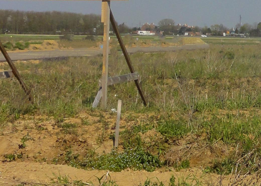 Terrain