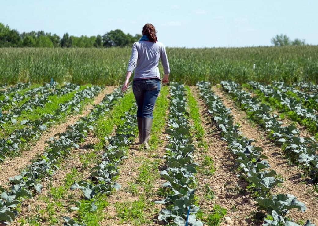 projets alimentaires territoriaux