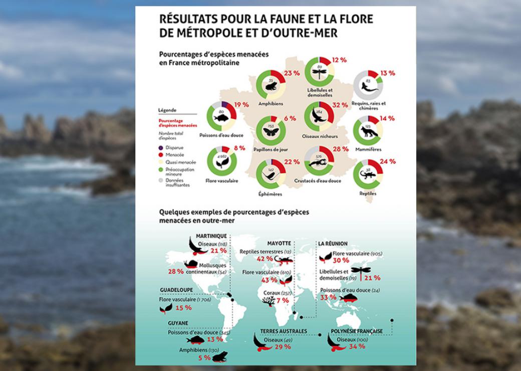 espèces menacées en France