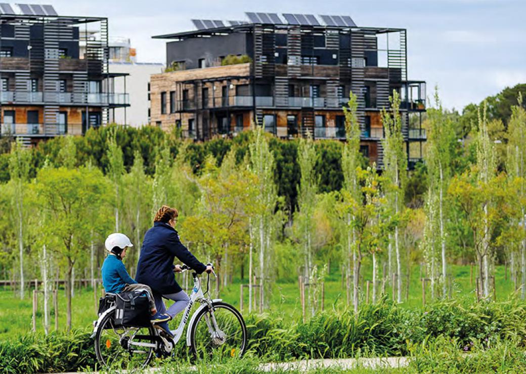 Santé environnementale 