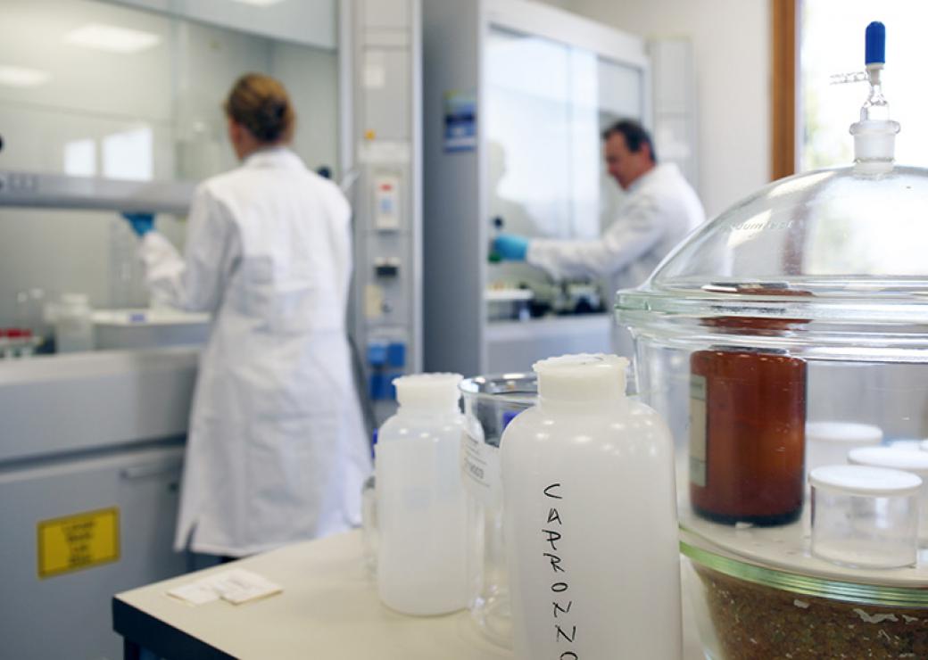 Laboratoire