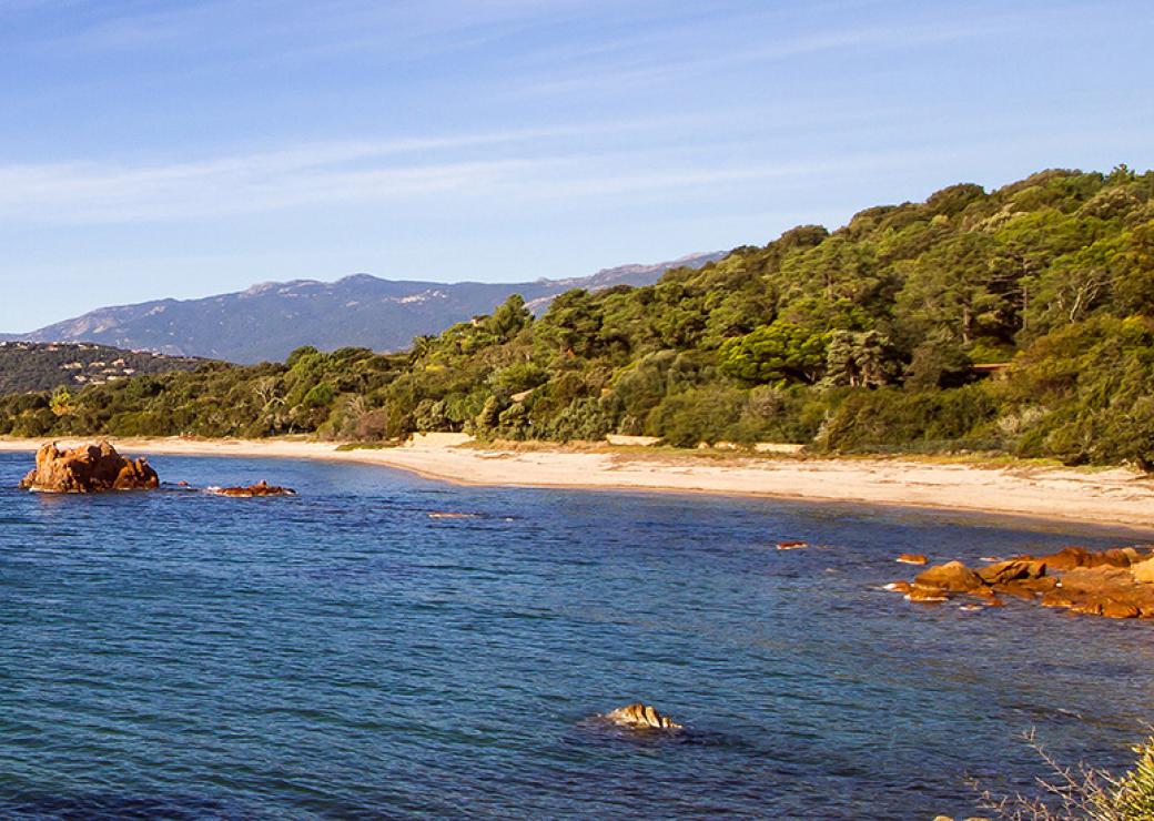 Plages publiques et concessions