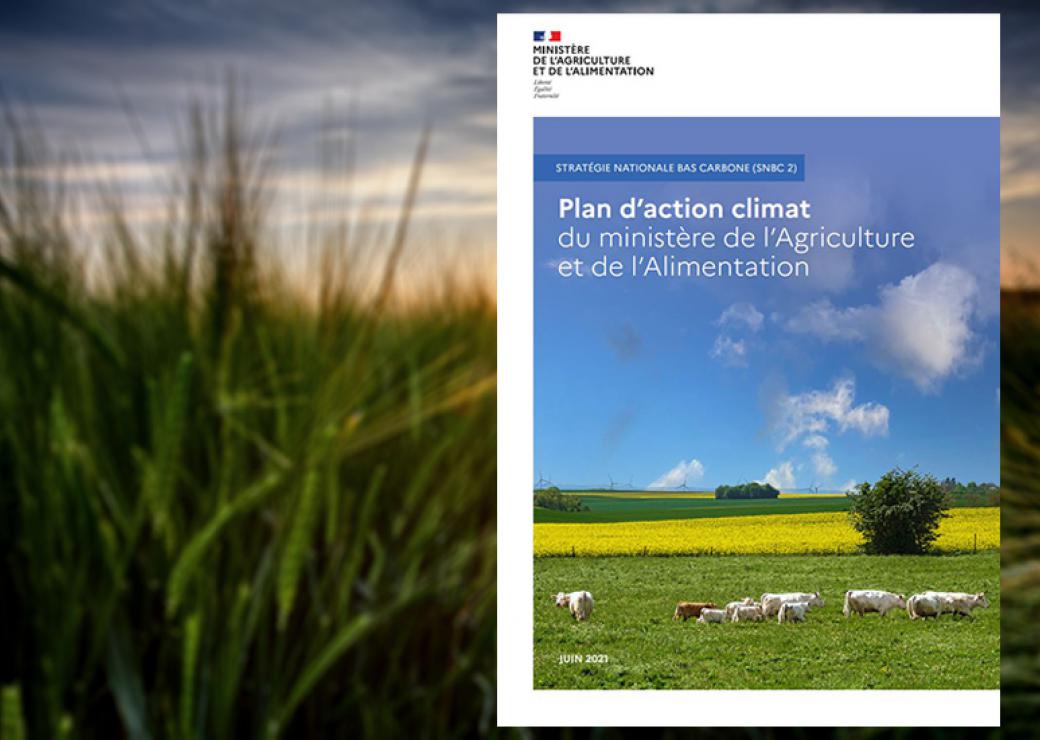 Le ministère de l'Agriculture publie son plan d'actions climat pour réduire les émissions de gaz à effet de serre