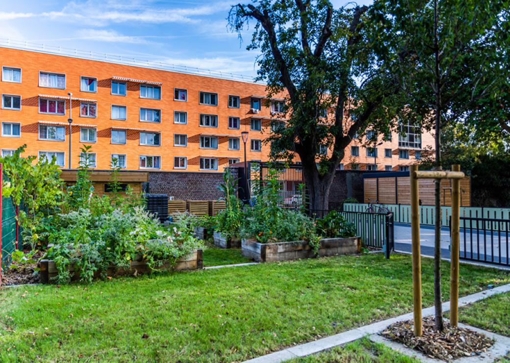 Au premier plan, la photo montre une pelouse agrémentée de gros bacs plantés de végétaux, quelques arbres, avec en fond un grand bâtiment de briques