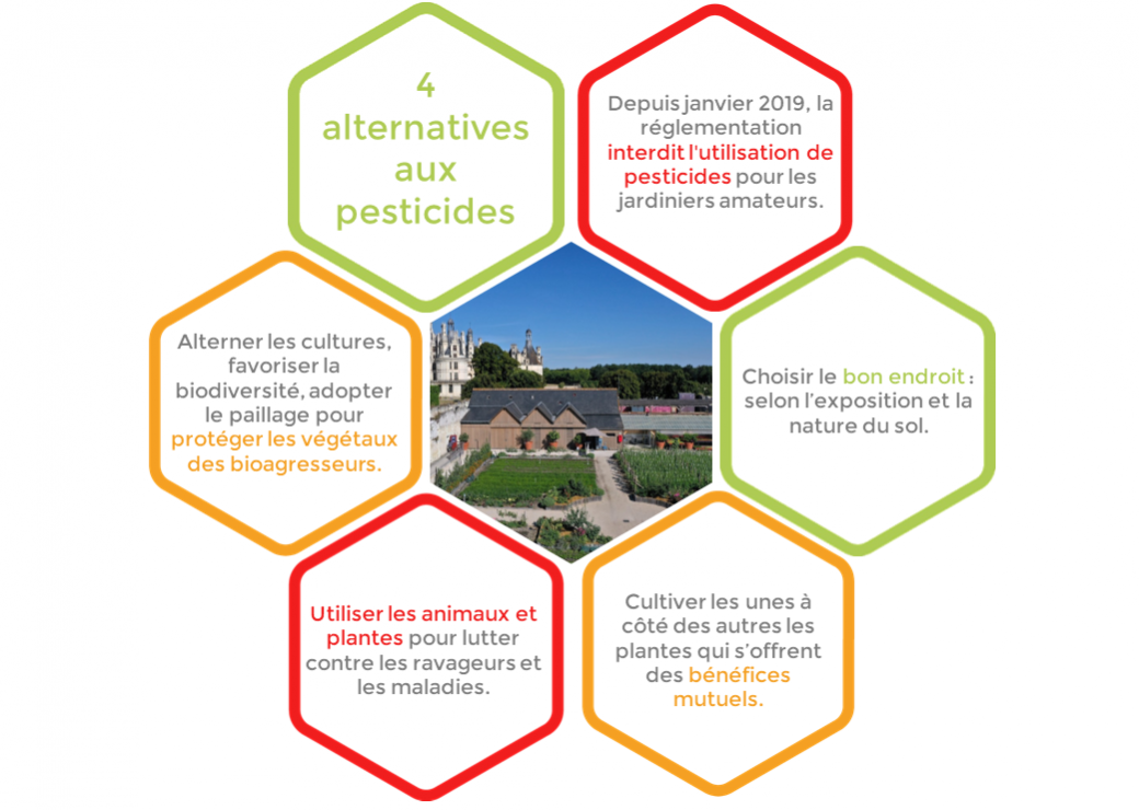 Solutions alternatives aux pesticides