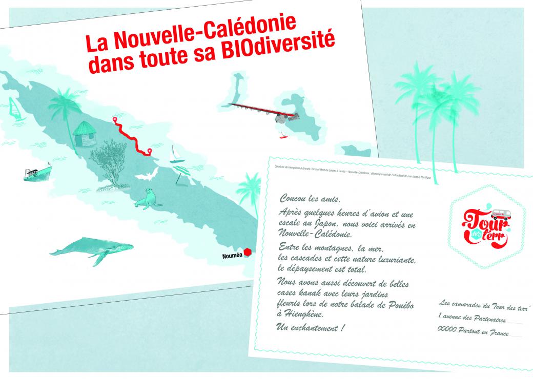 Tour des Terr' Carte postale Pacifique recto verso