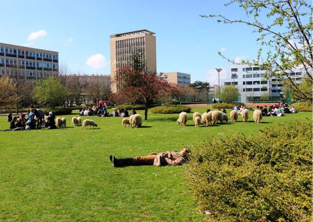 Université de Paris-Nanterre