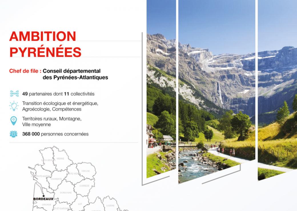 Fiche projet Ambition Pyrénées 