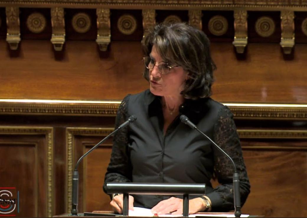 Intervention de la sénatrice Dominique Estrosi Sassone au Sénat le 11 juin 2019 sur la proposition de loi visant à améliorer la lutte contre l'habitat insalubre ou dangereux 