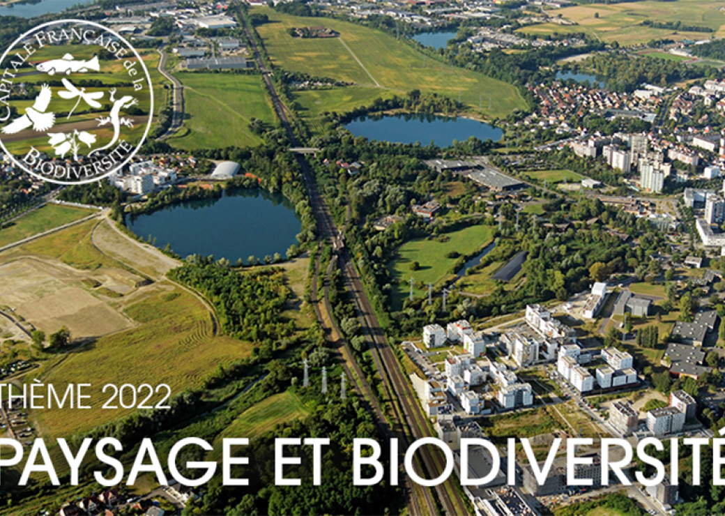 Lancement du concours Capitale française de la biodiversité 2022