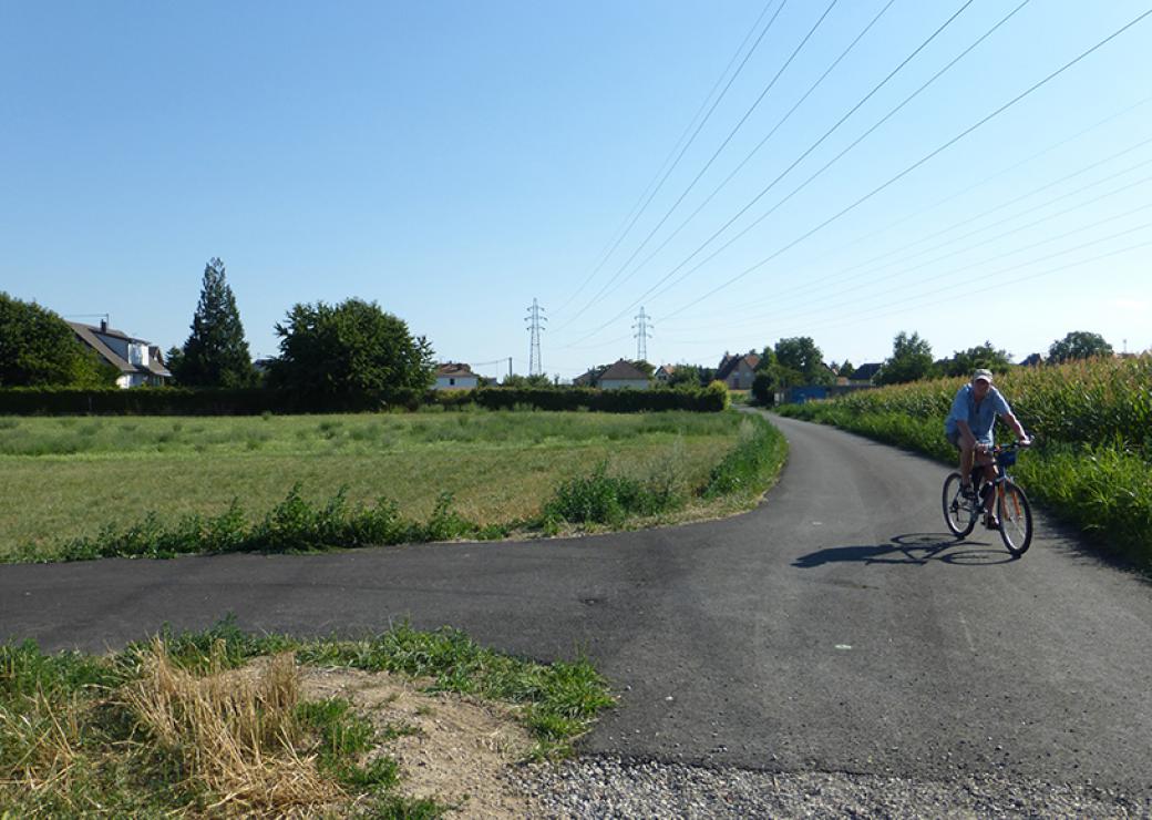 Un homme circule à vélo sur un chemin bordé de champs et de prairie, il avance vers le photographe. Au loin, on distingue une zone pavillonnaire