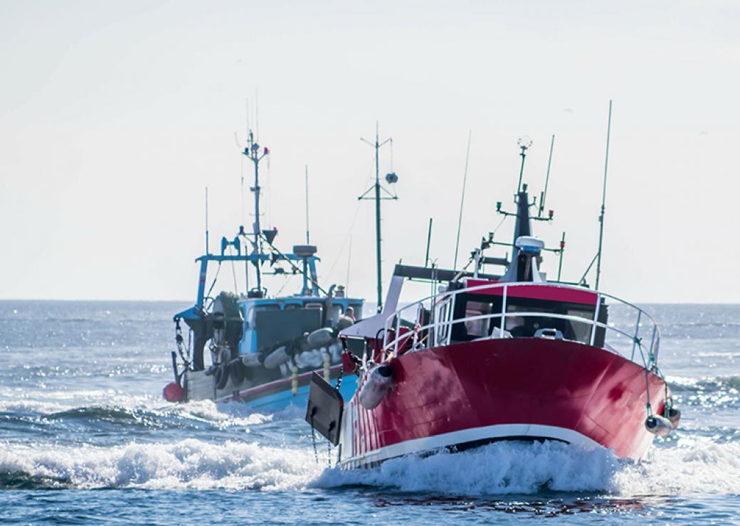 brexit pêche bateaux