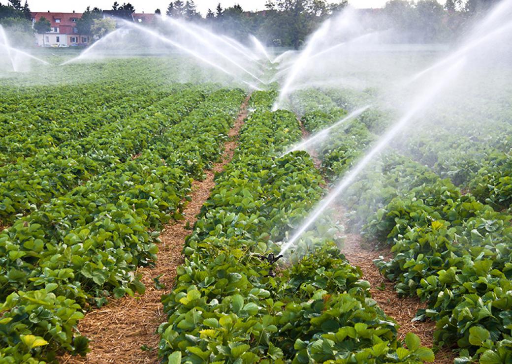 Varenne agricole de l'eau et du changement climatique : travaux en cours