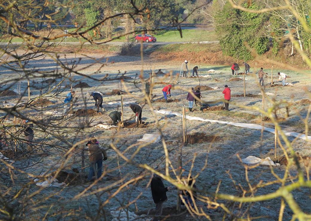 Dans un champs, une dizaine de personnes s'affairent avec des pelles autour de trous et de tas de terre