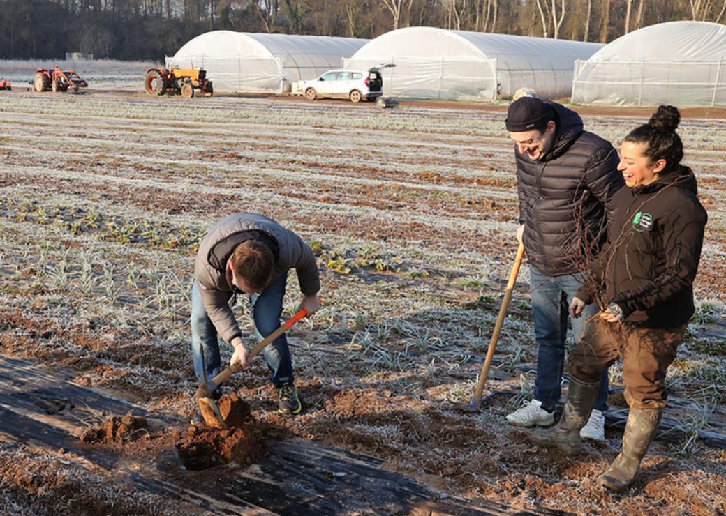 Dans un champs bordé de serres, un homme et une femme regardent un riant un homme qui bêche une terre gelée