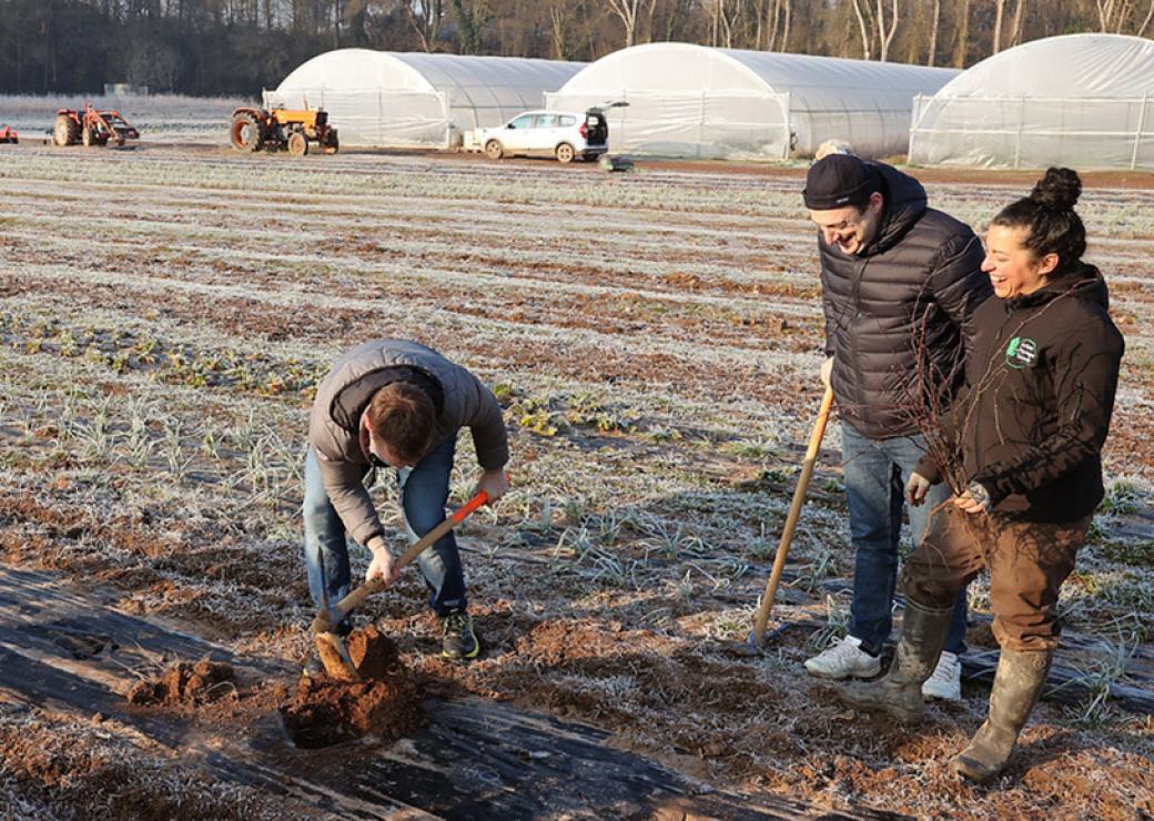 Dans un champs bordé de serres, un homme et une femme regardent un riant un homme qui bêche une terre gelée