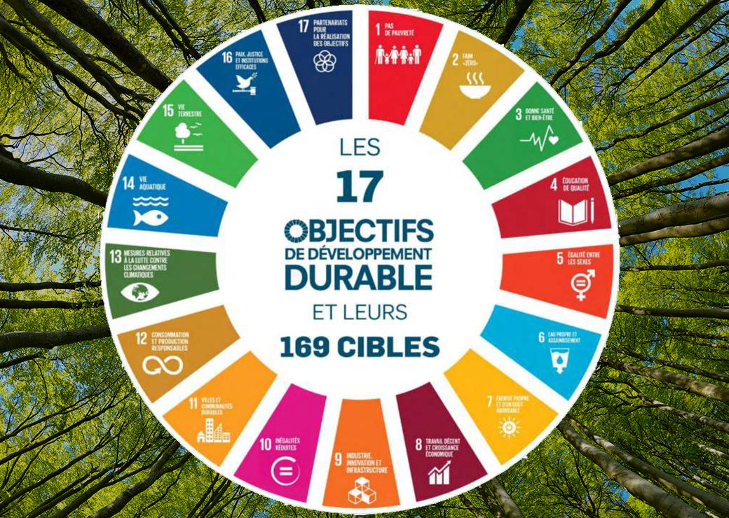 objectifs de développement durable 