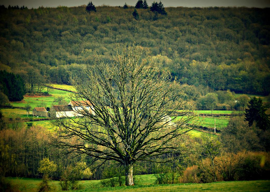 Campagne dans le morvan 