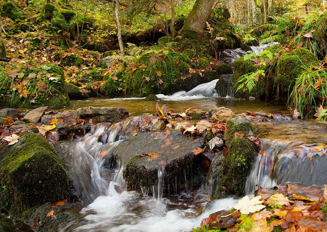 cours d'eau