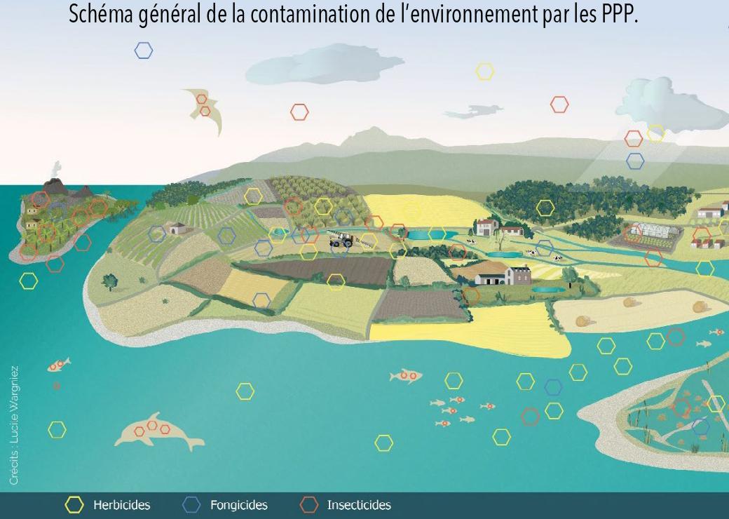 environnement 