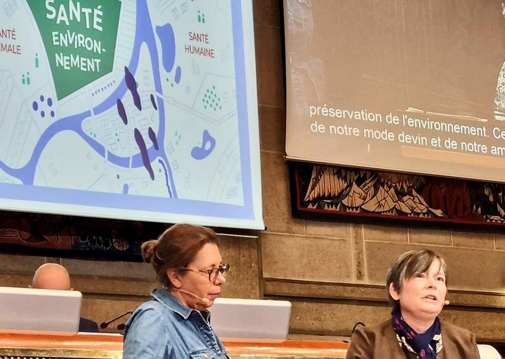 Santé environnement