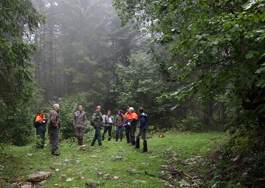 Dans un forêt brumeuse, des personnes sont regroupées