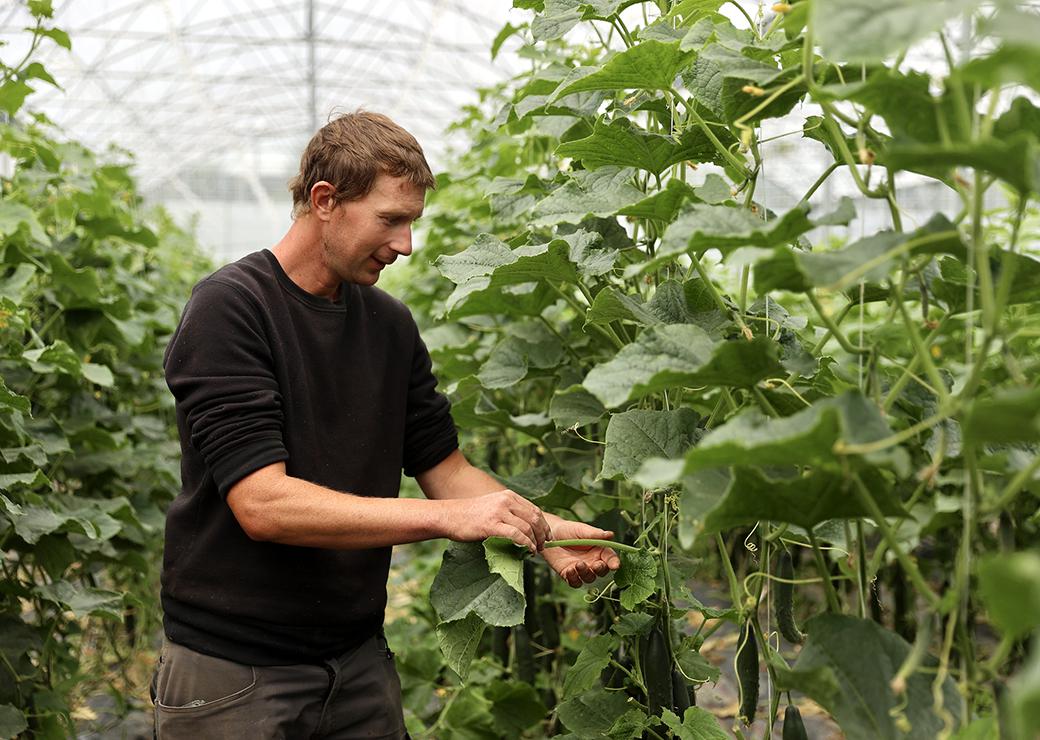 Jeune agriculteur