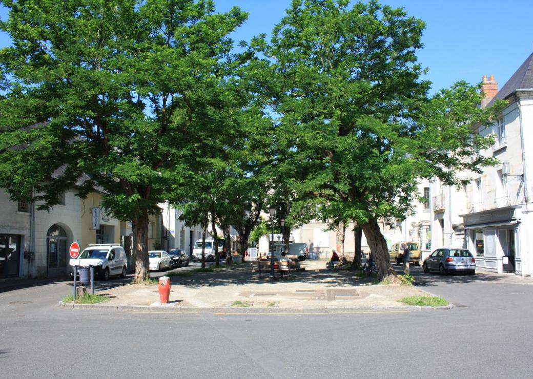 réaménagement écologique et paysager de la place Mirabeau à Chinon