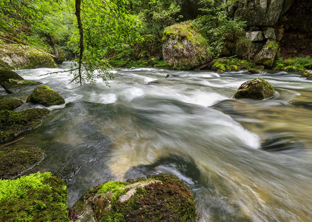 Plan rapproché d'un cours d'eau qui serpente entre des rochers moussus