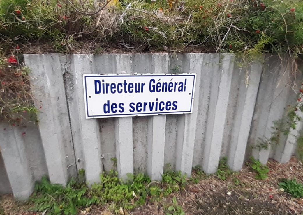 DGS / directeur général des services
