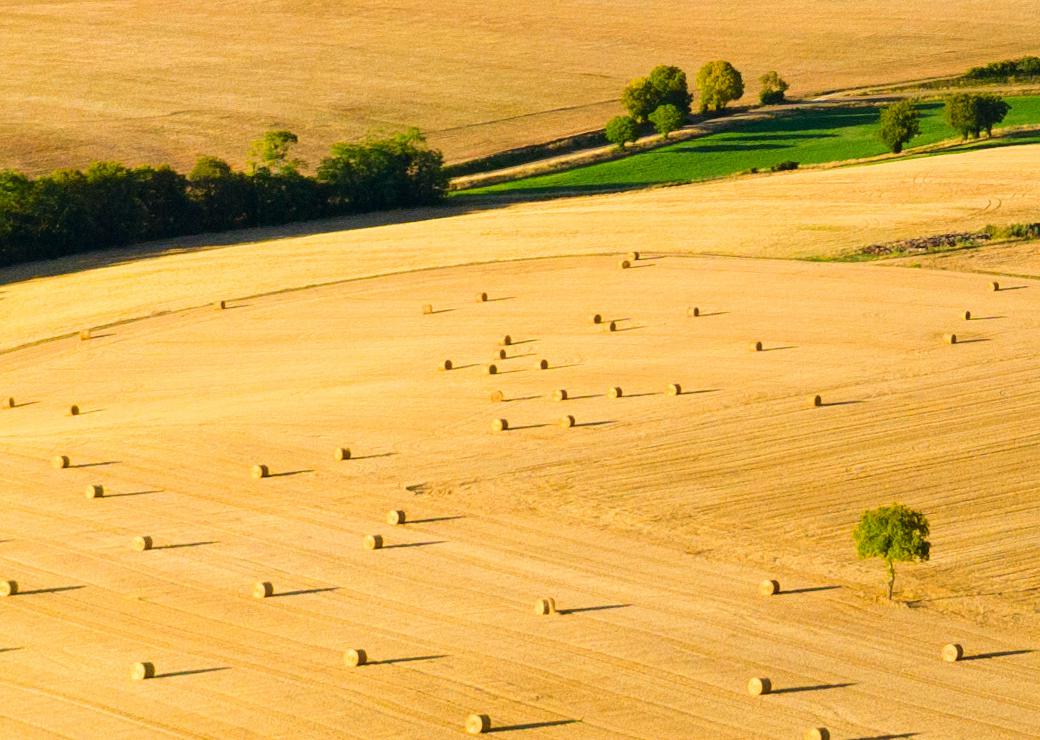 terres agricoles