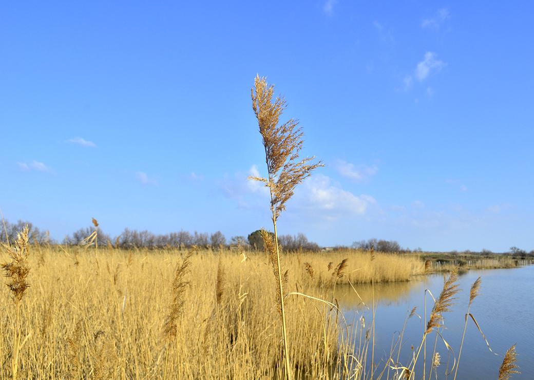 natura 2000