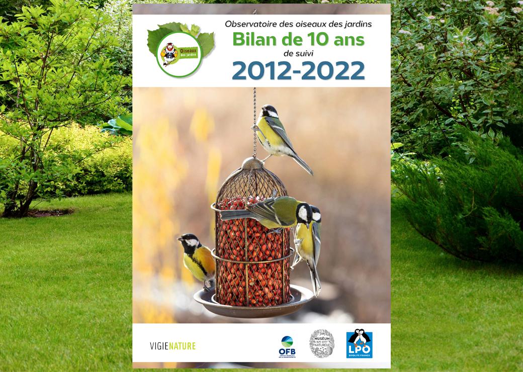 oiseaux
