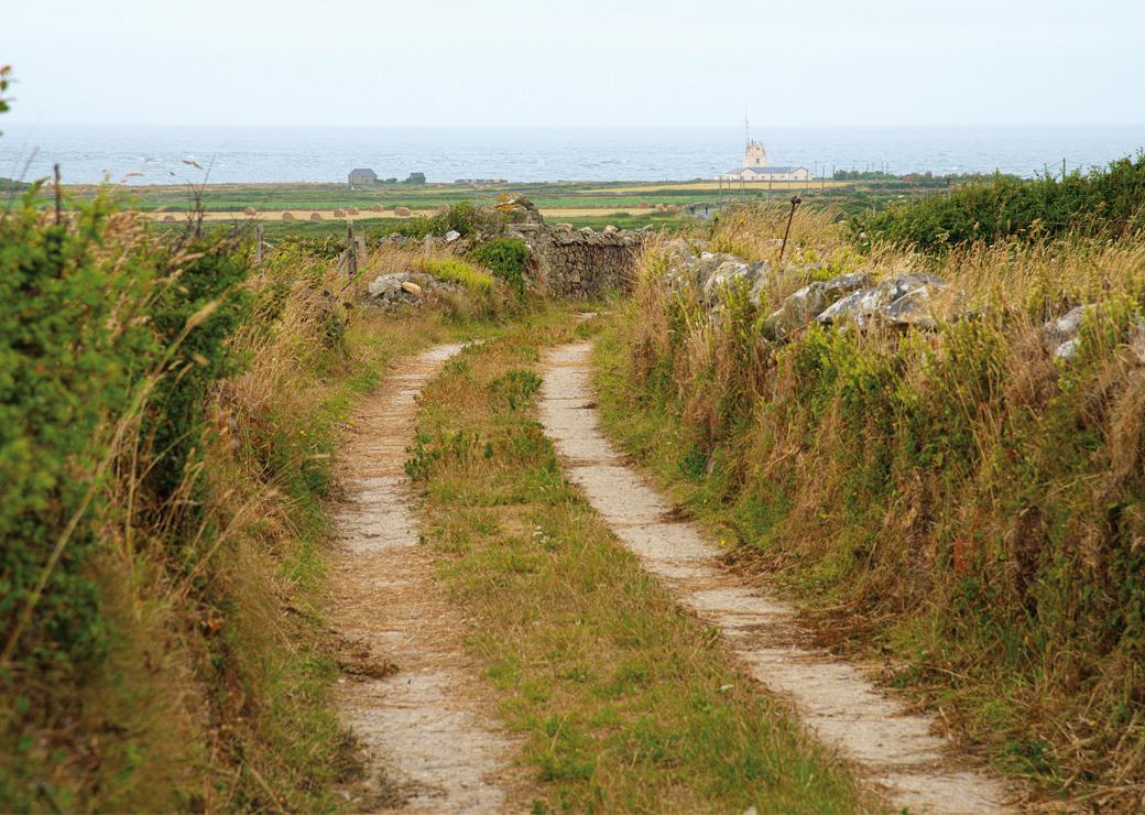 chemin