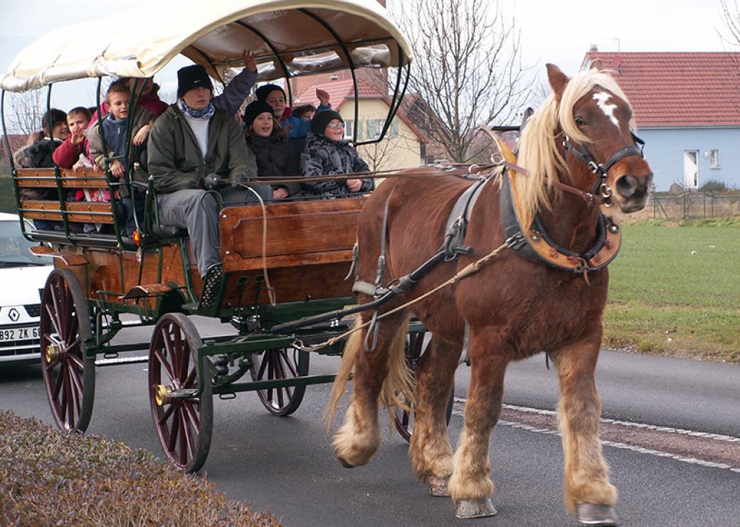 Un cheval de trait tire une calèche sur laquelle on compte une dizaine d'enfants. La calèche est suivie par une voiture blanche