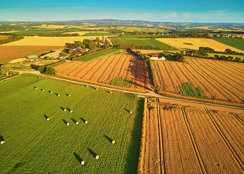 vue aérienne de terres agricoles