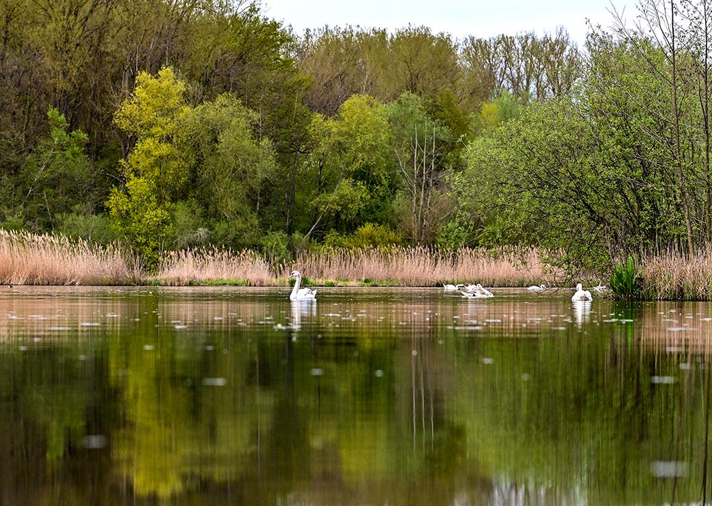 biodiversité