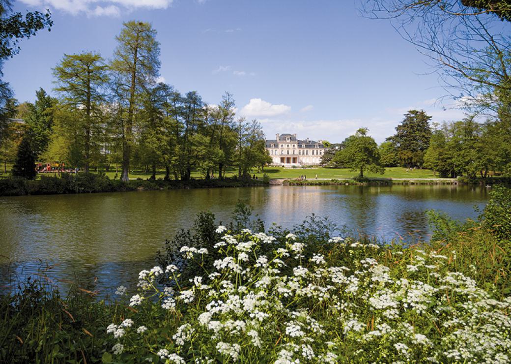 Photo montrant des fleurs au premier plan puis une étendue d'eau et un château au fond